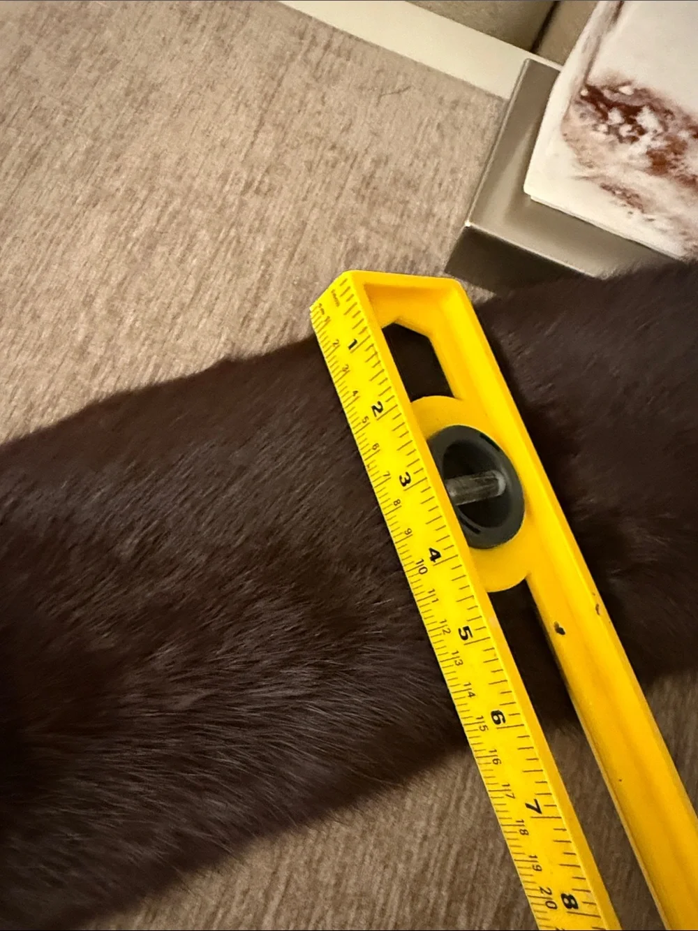 Real Fox fur collar